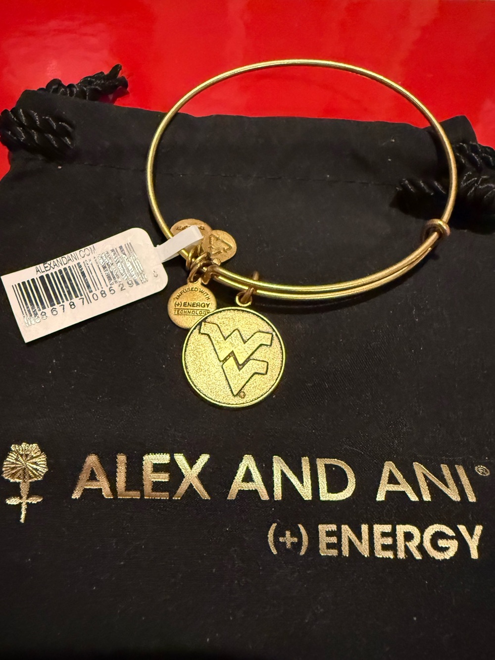 Alex and Ani Gold West Virginia Logo Charm Bangle